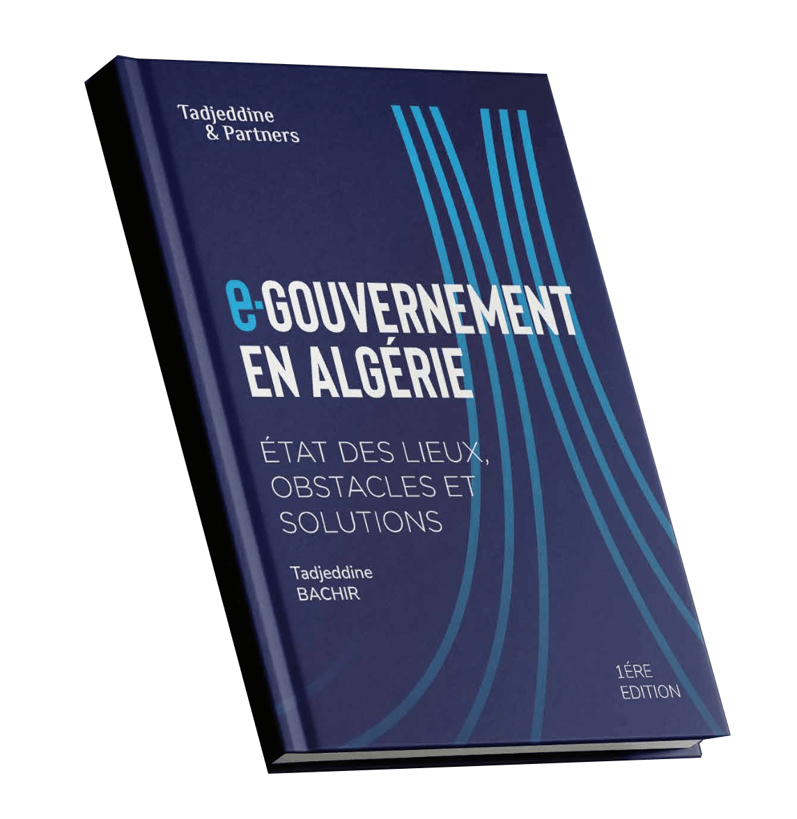 e-Gouvernement en Algérie : état des lieux, obstacles et solutions